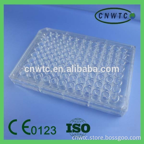 Tissue Culture Plate
